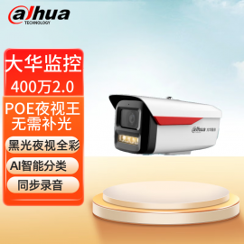 POE 大华DH-IPC-HFW2449M-A-LED 夜视王全彩枪击